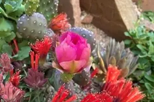 1111 Utica Cir, Boulder, CO 80304 - Photo 43