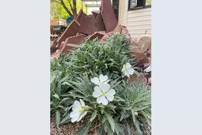 1111 Utica Circle, Boulder, CO 80304 - Photo 39
