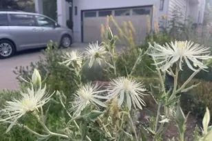 1111 Utica Cir, Boulder, CO 80304 - Photo 33