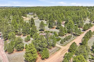 35733 Whispering Pine, Elizabeth, CO 80107 - Photo 33