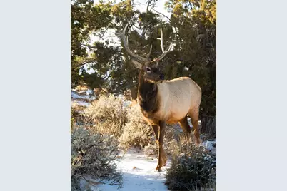 1344 Silverheels Road, Fairplay, CO 80440 - Photo 7