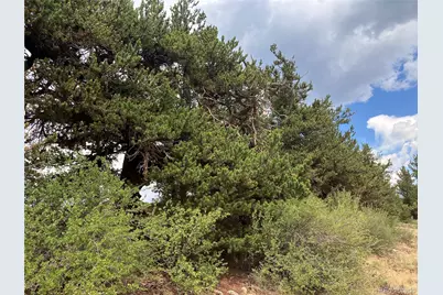 1344 Silverheels Road, Fairplay, CO 80440 - Photo 23