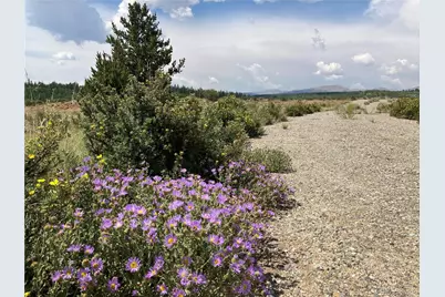 1344 Silverheels Road, Fairplay, CO 80440 - Photo 29