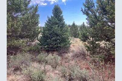 1344 Silverheels Road, Fairplay, CO 80440 - Photo 13