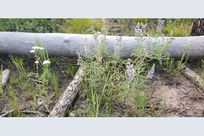 1929 Korlkoff Lane, Fort Garland, CO 81133 - Photo 9