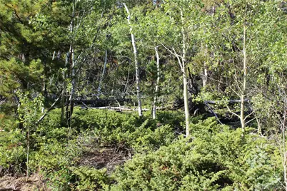 Lot 028 Sunflower Lane, Black Hawk, CO 80422 - Photo 5