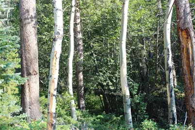 Lot 028 Sunflower Lane, Black Hawk, CO 80422 - Photo 7