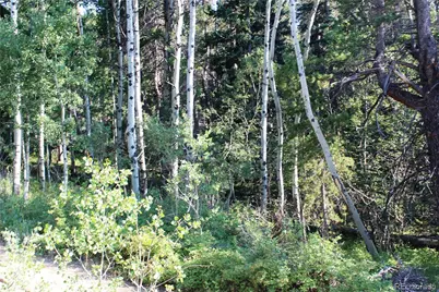 Lot 028 Sunflower Lane, Black Hawk, CO 80422 - Photo 9