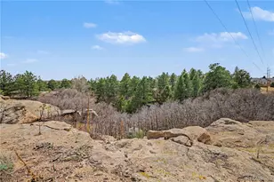 1010 N Tabor Dr, Castle Rock, CO 80104 - Photo 5