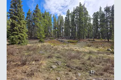 Pcs#7765 & 12057 Rollies Trail, Alma, CO 80420 - Photo 3