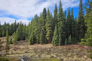 Pcs#7765 & 12057 Rollies Trail, Alma, CO 80420 - Photo 1