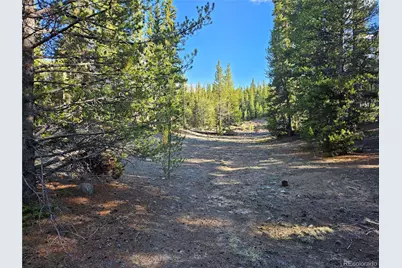 Pcs#7765 & 12057 Rollies Trail, Alma, CO 80420 - Photo 43