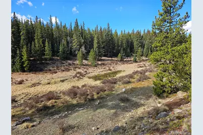 Pcs#7765 & 12057 Rollies Trail, Alma, CO 80420 - Photo 27