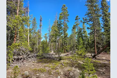 Pcs#7765 & 12057 Rollies Trail, Alma, CO 80420 - Photo 13