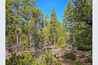 Pcs#7765 & 12057 Rollies Trail, Alma, CO 80420 - Photo 19