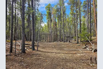 Pcs#7765 & 12057 Rollies Trail, Alma, CO 80420 - Photo 23