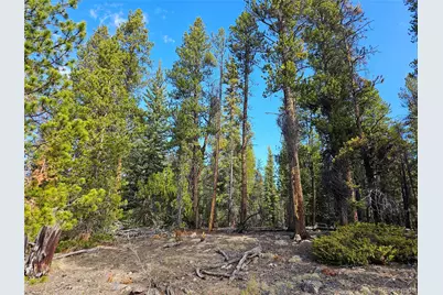 Pcs#7765 & 12057 Rollies Trail, Alma, CO 80420 - Photo 25