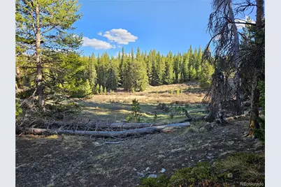 Pcs#7765 & 12057 Rollies Trail, Alma, CO 80420 - Photo 41