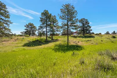 10461 Black Forest Drive, Parker, CO 80138 - Photo 15