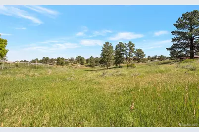 10461 Black Forest Drive, Parker, CO 80138 - Photo 7
