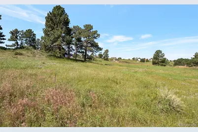 10461 Black Forest Drive, Parker, CO 80138 - Photo 11