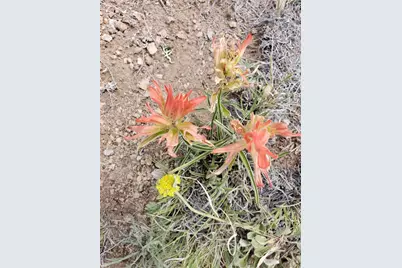 000 Lipan Road, Hartsel, CO 80449 - Photo 23