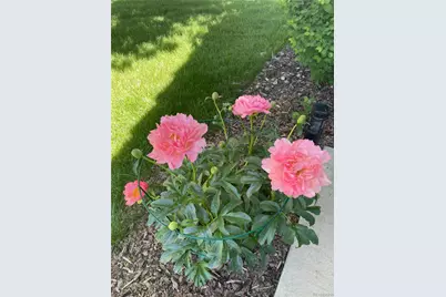 7454 S Norfolk Street, Aurora, CO 80016 - Photo 27