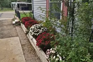 308 Elm St, Lochbuie, CO 80603 - Photo 5