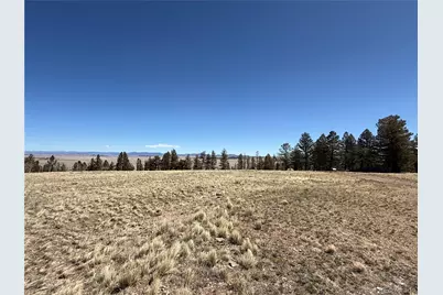 197 Baler Court, Hartsel, CO 80449 - Photo 3