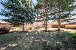 6640 S Williams Circle, Centennial, CO 80121 - Photo 19