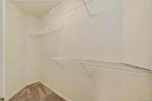 2174 Cactus Bluff Ave, Highlands Ranch, CO 80129 - Photo 25