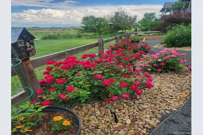 15674 Elizabeth Street, Thornton, CO 80602 - Photo 35