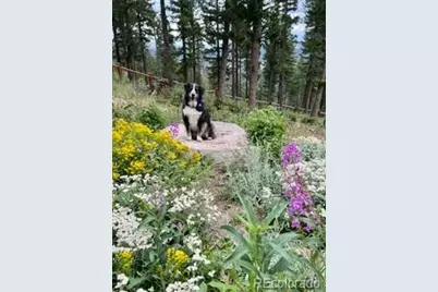 116 Ramona Road, Golden, CO 80403 - Photo 39