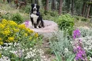 116 Ramona Rd, Golden, CO 80403 - Photo 39