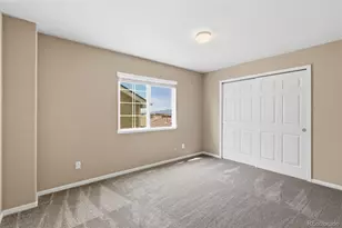 7003 Harrier, Colorado Springs, CO 80922 - Photo 29