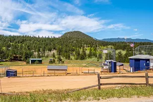 55 Deer Trail Dr, Bailey, CO 80421 - Photo 31