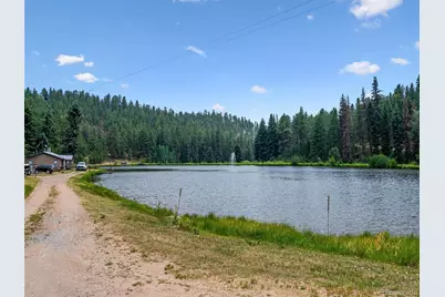 55 Deer Trail Drive, Bailey, CO 80421 - Photo 35