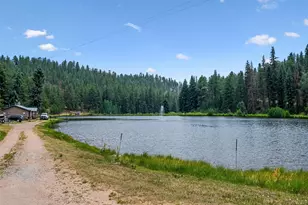 55 Deer Trail Dr, Bailey, CO 80421 - Photo 35