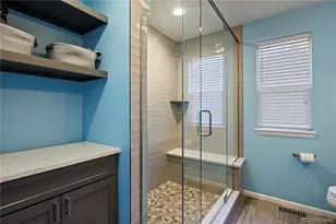 21341 White Ash Ct, Parker, CO 80138 - Photo 29