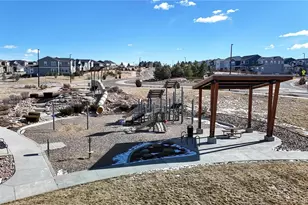 1107 Basalt Ridge Loop, Castle Rock, CO 80108 - Photo 45