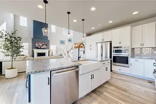 1107 Basalt Ridge Loop, Castle Rock, CO 80108 - Photo 19