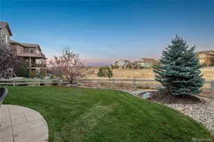 10616 Greycliffe Dr, Highlands Ranch, CO 80126 - Photo 37