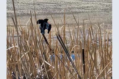 1000 Yellowstone Road, Hartsel, CO 80449 - Photo 35