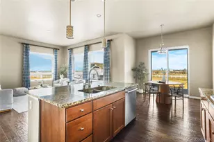 16320 Paris Way, Brighton, CO 80602 - Photo 19