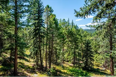 8281 Grizzly Way, Evergreen, CO 80439 - Photo 5