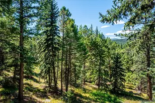 8281 Grizzly Way, Evergreen, CO 80439 - Photo 5