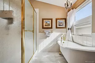 10424 Holly Hock Ct, Highlands Ranch, CO 80129 - Photo 11