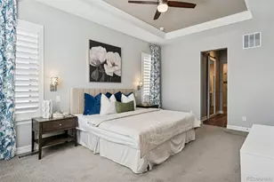 532 Woodroot Cir, Castle Rock, CO 80104 - Photo 15