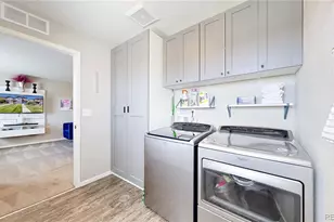 2819 Summer Day Ave, Castle Rock, CO 80109 - Photo 29