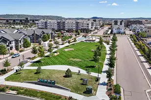 2819 Summer Day Ave, Castle Rock, CO 80109 - Photo 37